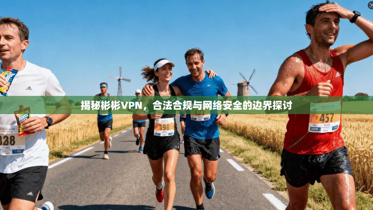 揭秘彬彬VPN，合法合规与网络安全的边界探讨