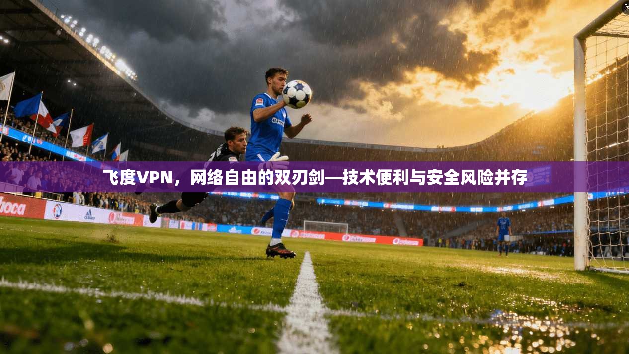 飞度VPN，网络自由的双刃剑—技术便利与安全风险并存