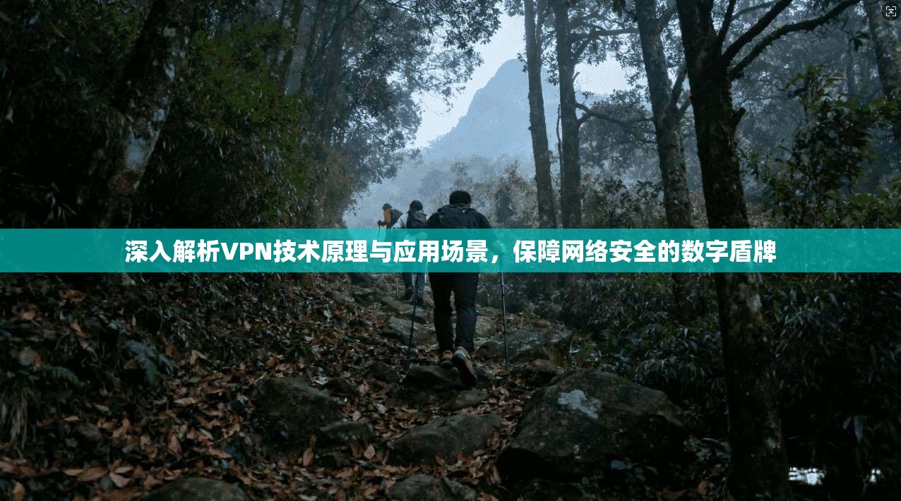 深入解析VPN技术原理与应用场景，保障网络安全的数字盾牌