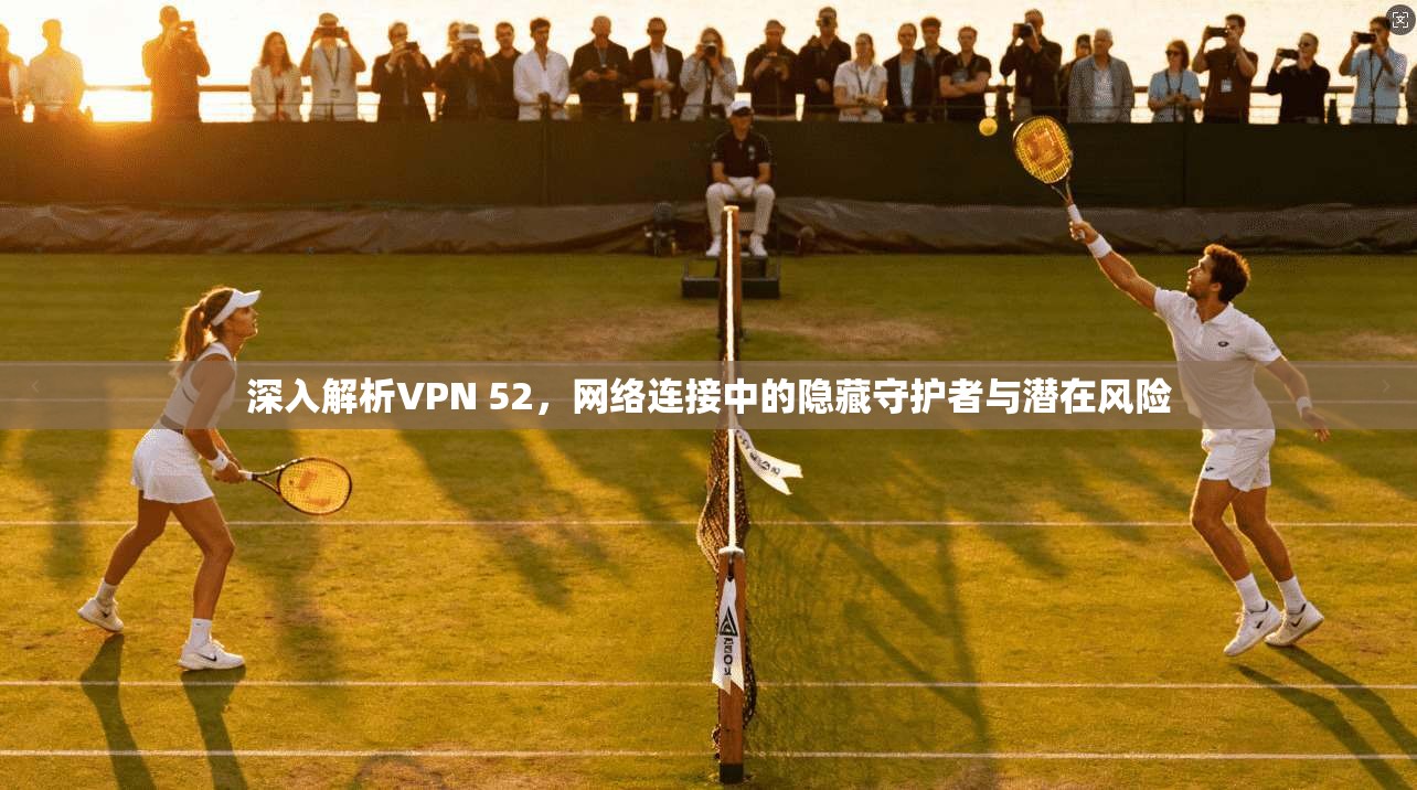 深入解析VPN 52，网络连接中的隐藏守护者与潜在风险
