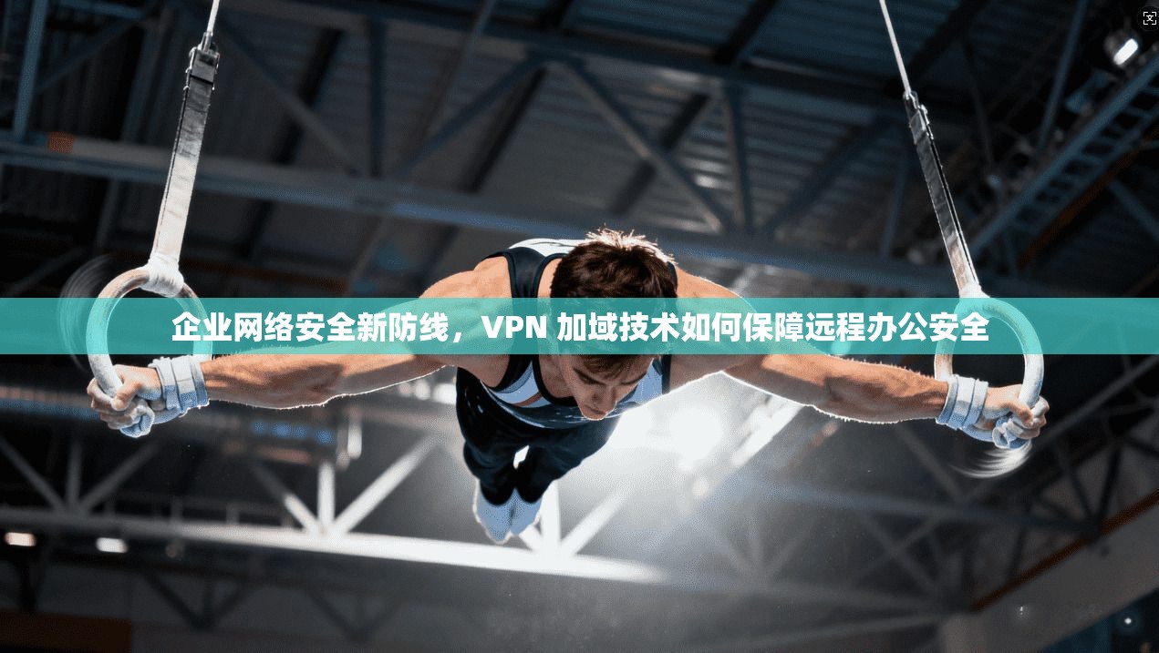 企业网络安全新防线，VPN 加域技术如何保障远程办公安全