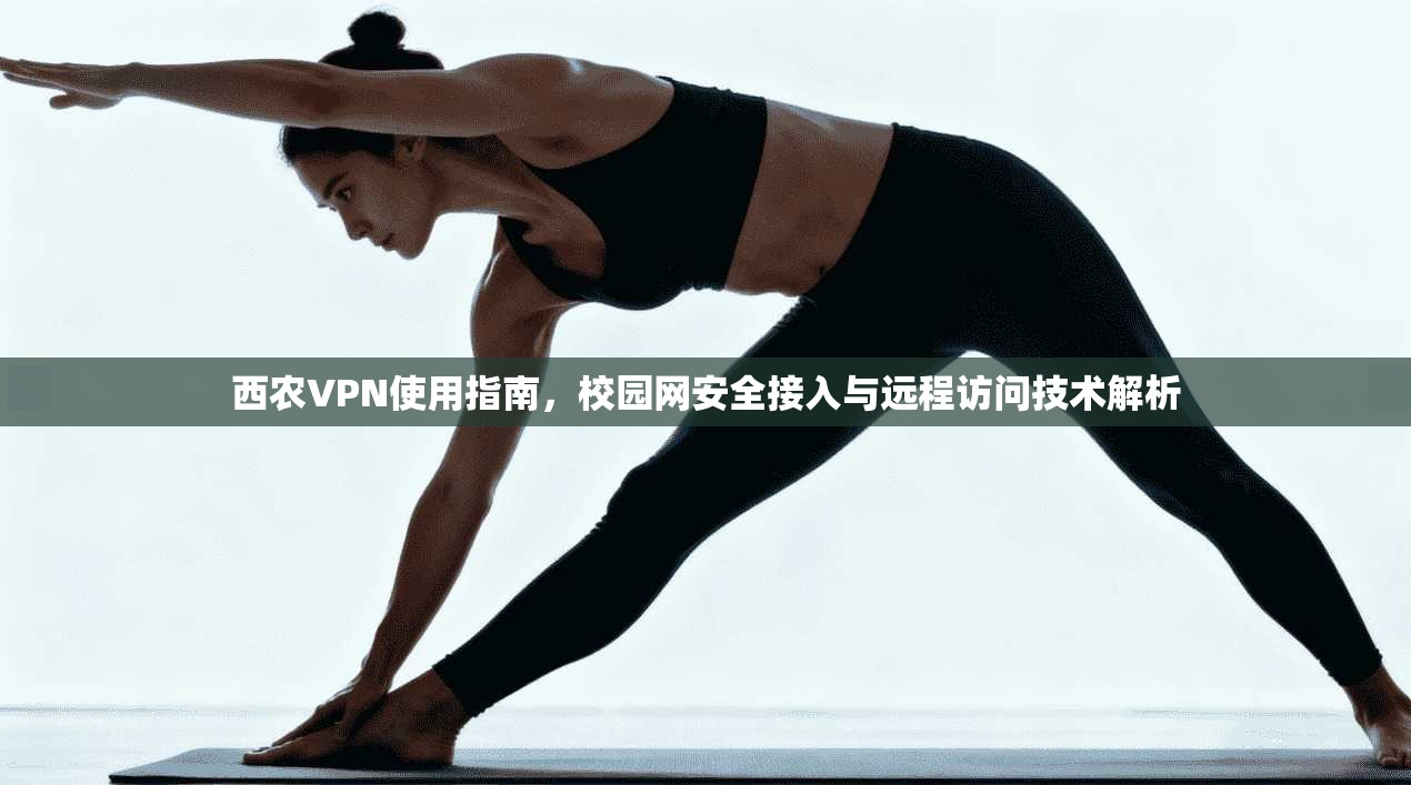西农VPN使用指南，校园网安全接入与远程访问技术解析