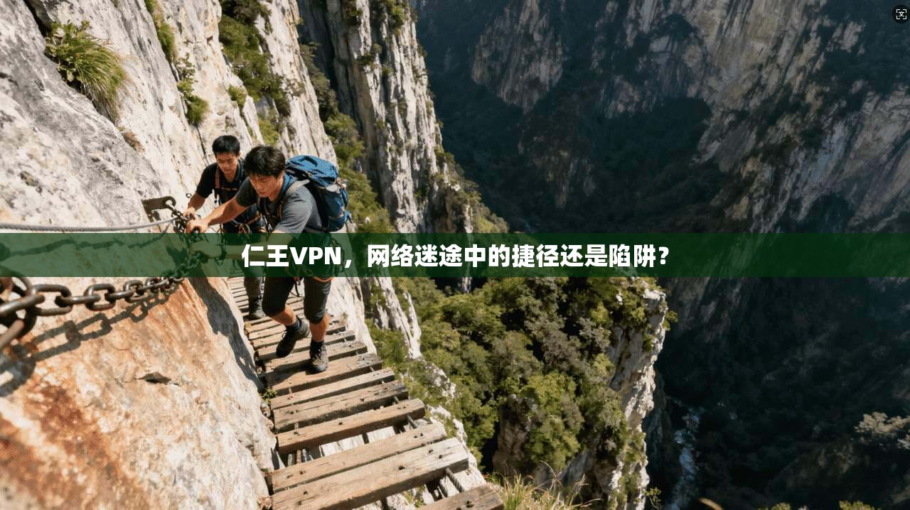 仁王VPN，网络迷途中的捷径还是陷阱？