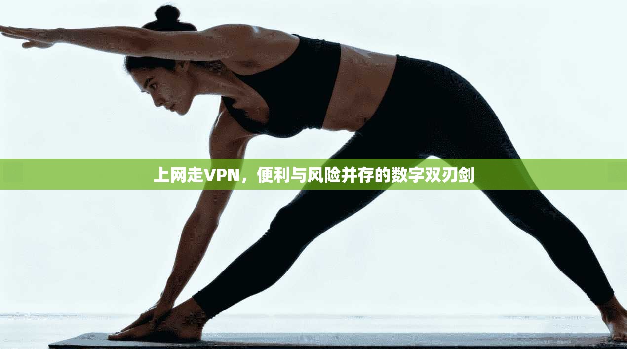 上网走VPN，便利与风险并存的数字双刃剑