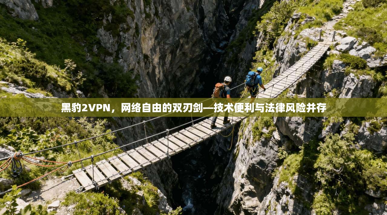 黑豹2VPN，网络自由的双刃剑—技术便利与法律风险并存