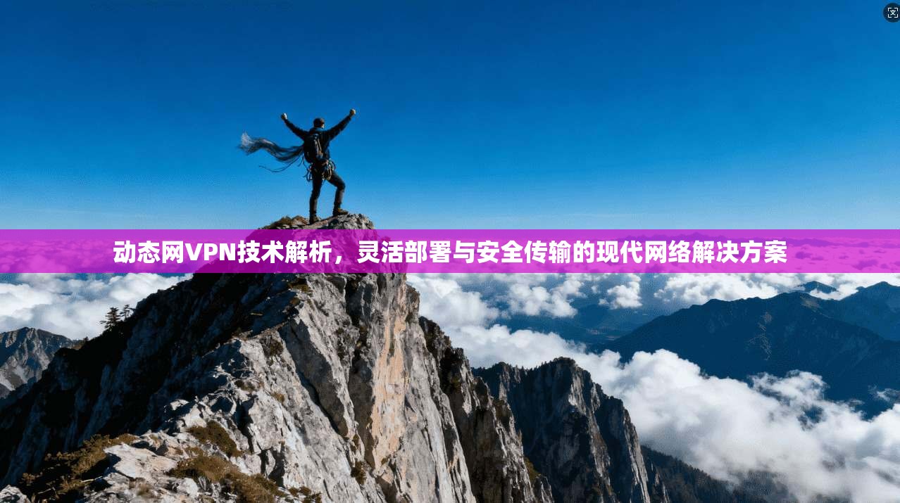 动态网VPN技术解析，灵活部署与安全传输的现代网络解决方案