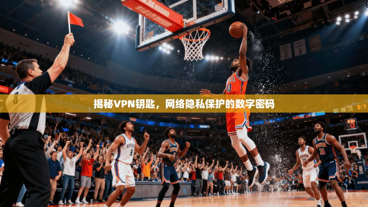 揭秘VPN钥匙,网络隐私保护的数字密码 揭秘VPN钥匙,网络隐私保护的数字密码