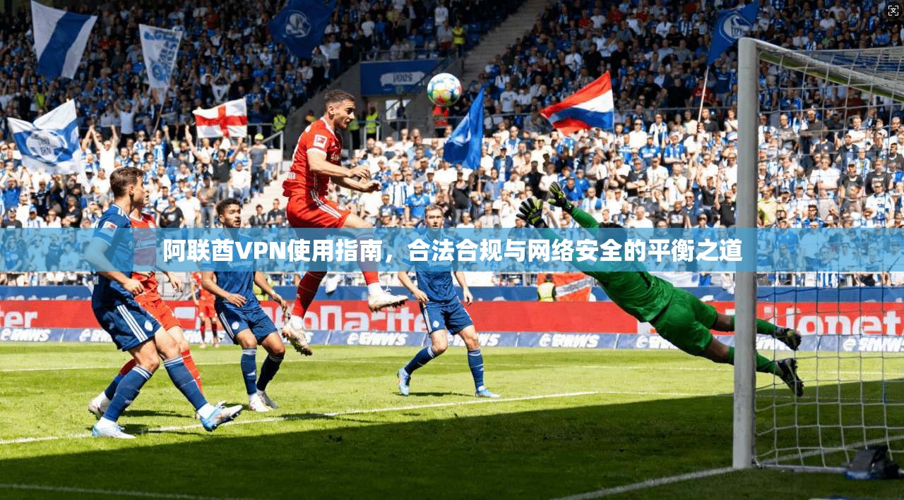 阿联酋VPN使用指南，合法合规与网络安全的平衡之道