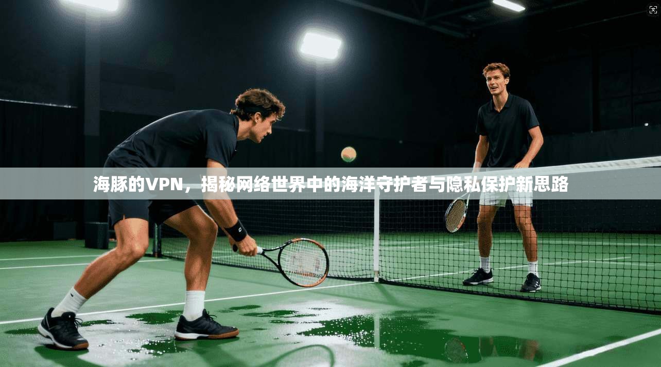 海豚的VPN，揭秘网络世界中的海洋守护者与隐私保护新思路