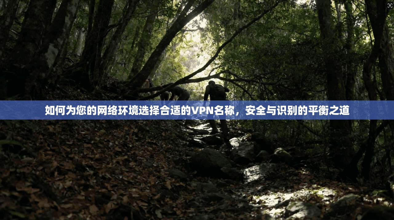 如何为您的网络环境选择合适的VPN名称，安全与识别的平衡之道