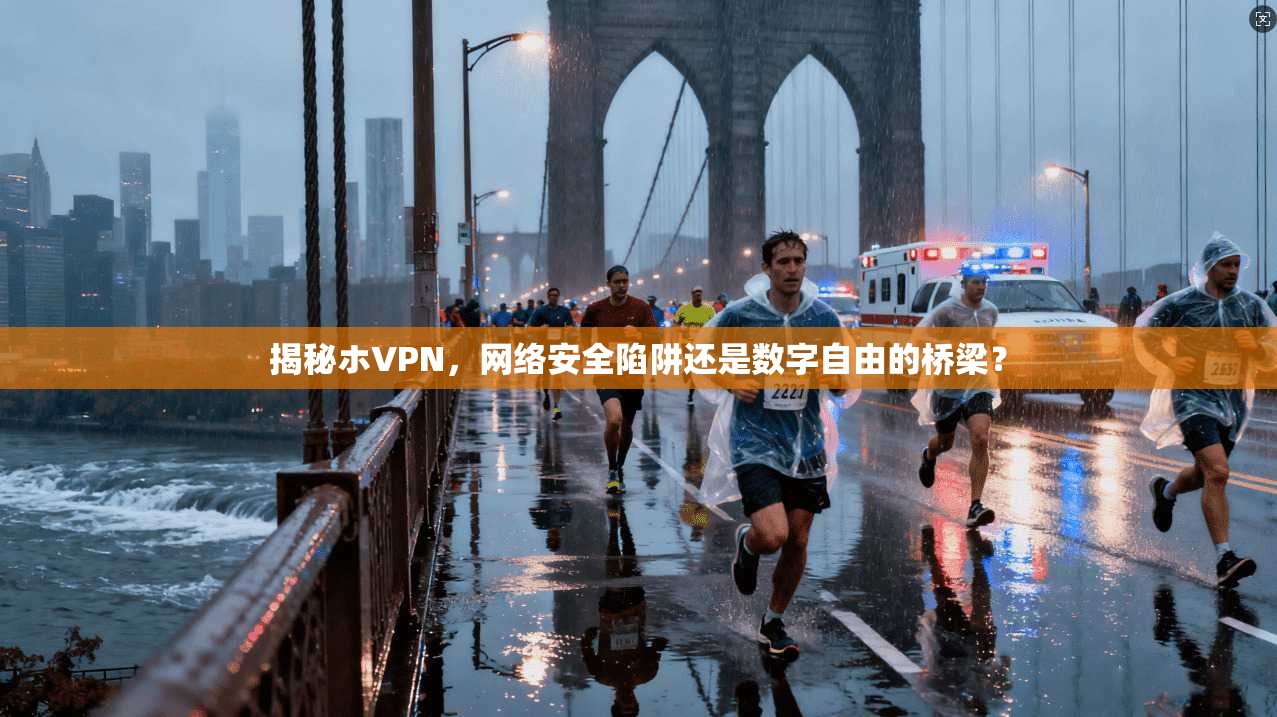 揭秘ホVPN，网络安全陷阱还是数字自由的桥梁？