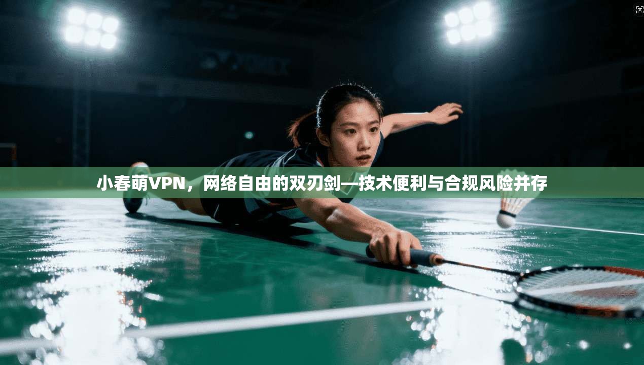 小春萌VPN，网络自由的双刃剑—技术便利与合规风险并存