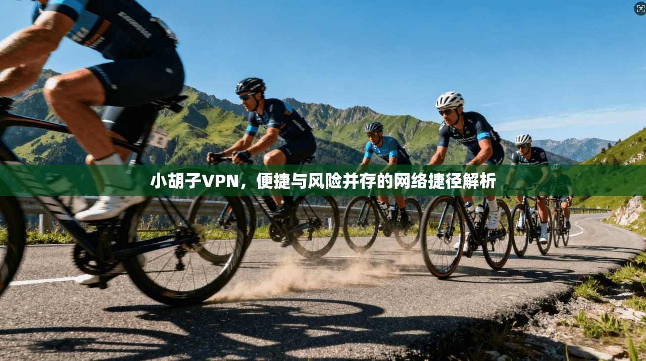 小胡子VPN,便捷与风险并存的网络捷径解析