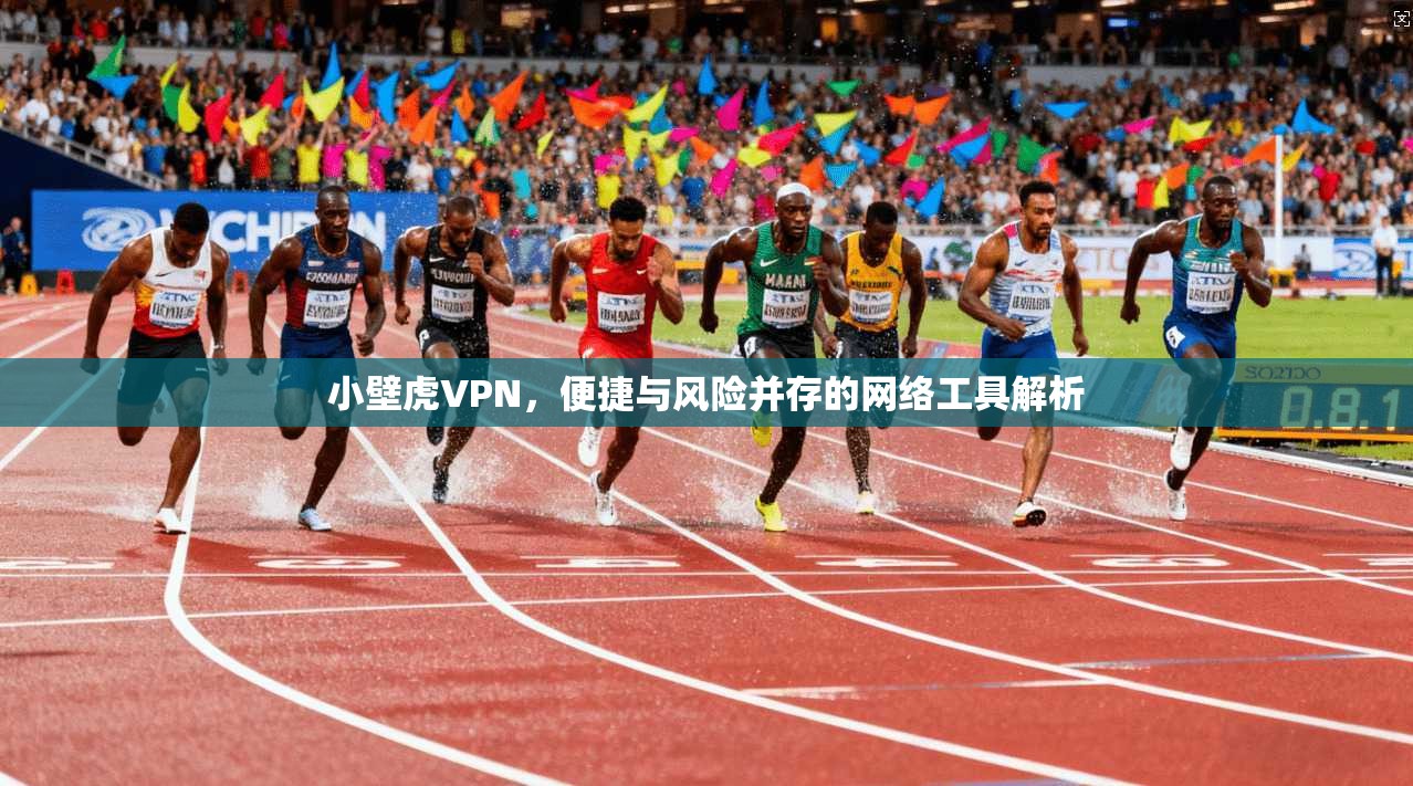小壁虎VPN,便捷与风险并存的网络工具解析