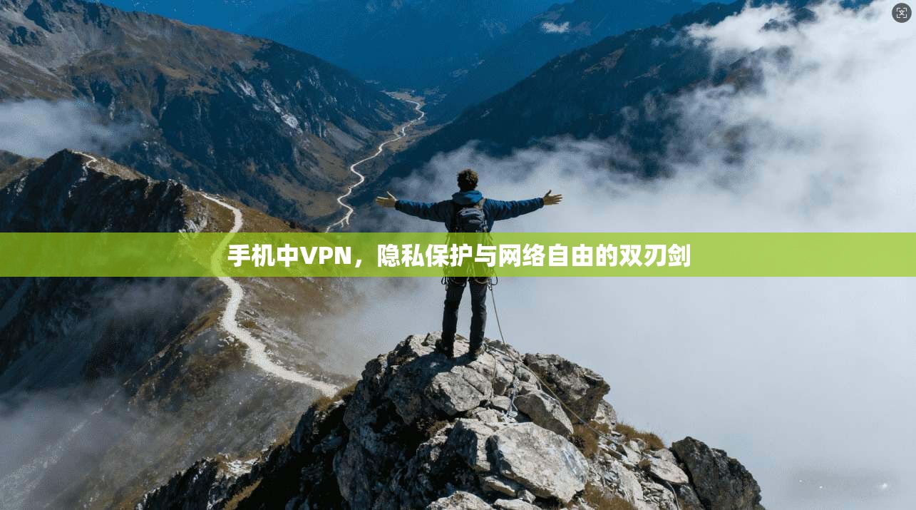 手机中VPN,隐私保护与网络自由的双刃剑