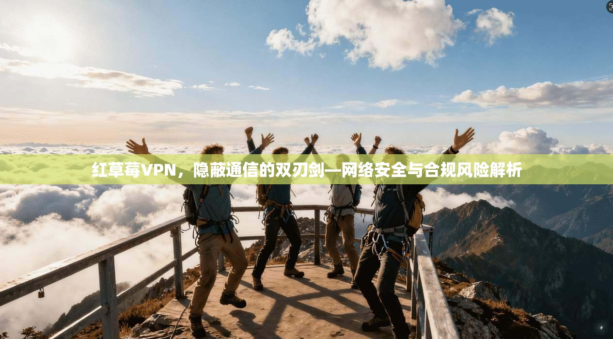 红草莓VPN,隐蔽通信的双刃剑—网络安全与合规风险解析