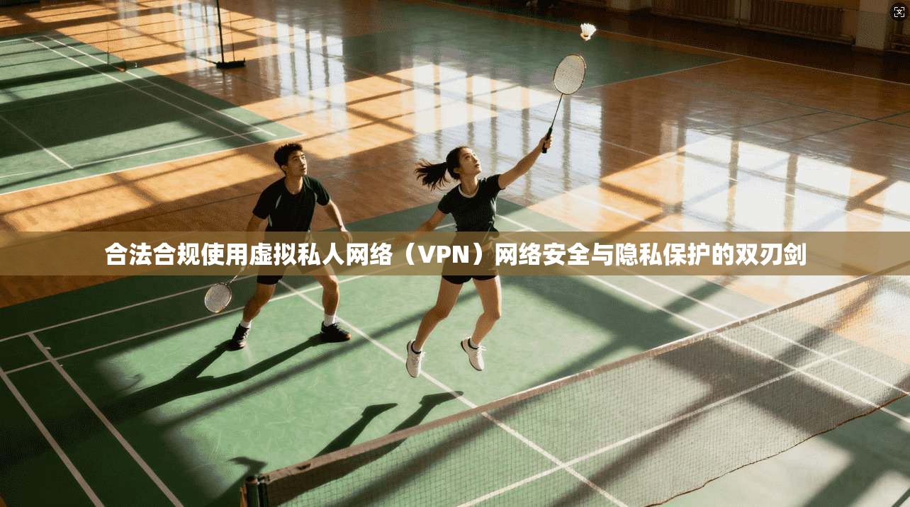 合法合规使用虚拟私人网络(VPN)网络安全与隐私保护的双刃剑