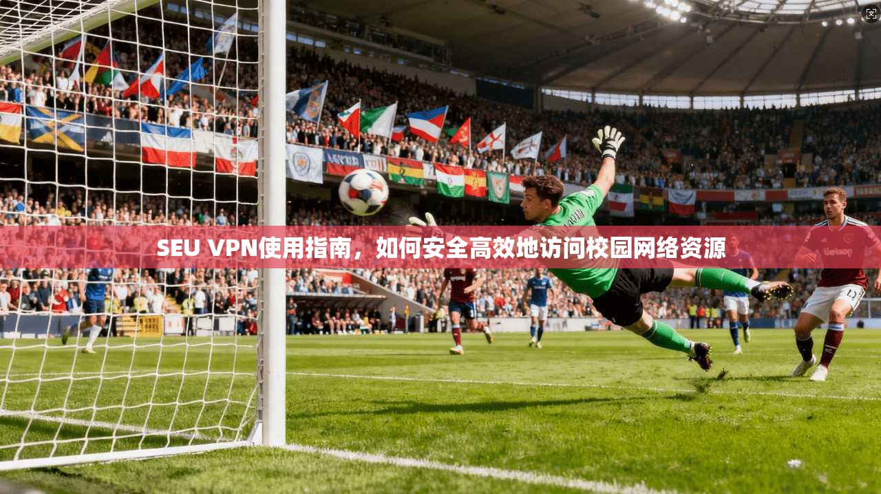 SEU VPN使用指南，如何安全高效地访问校园网络资源