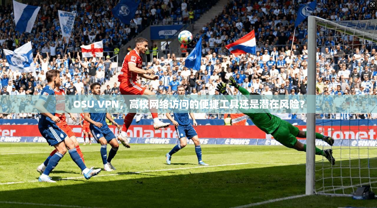 OSU VPN，高校网络访问的便捷工具还是潜在风险？
