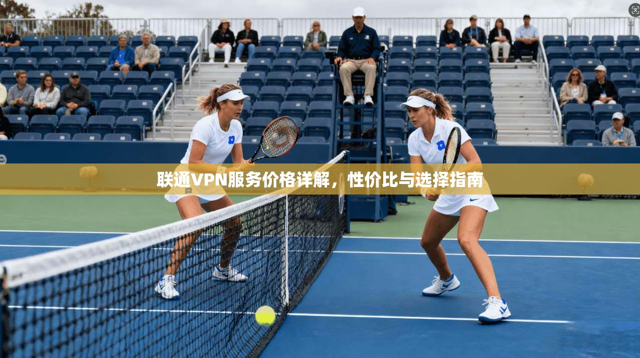 联通VPN服务价格详解，性价比与选择指南
