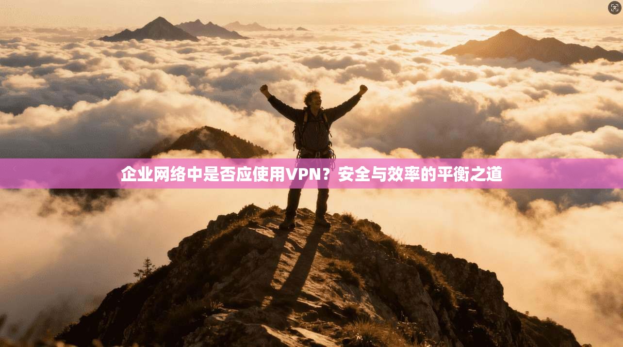 企业网络中是否应使用VPN?安全与效率的平衡之道 企业网络中是否应使用VPN?安全与效率的平衡之道