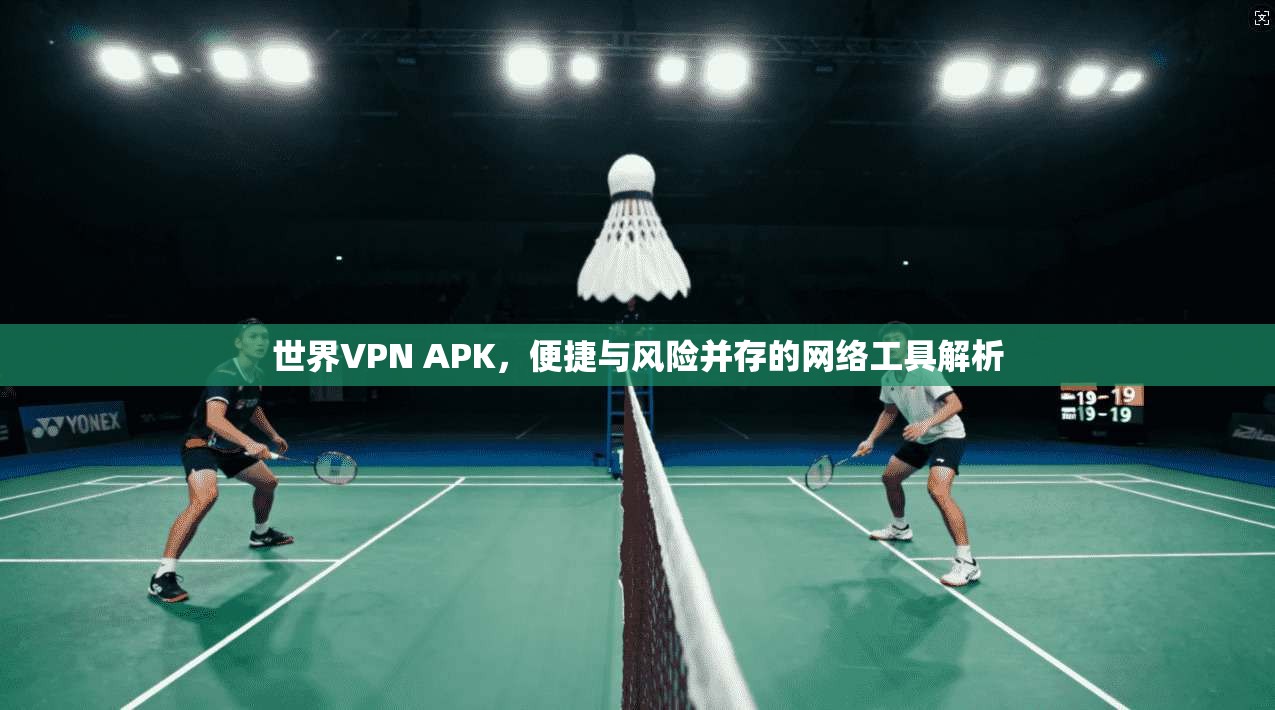 世界VPN APK,便捷与风险并存的网络工具解析 世界VPN APK,便捷与风险并存的网络工具解析
