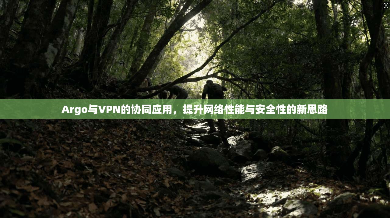 Argo与VPN的协同应用,提升网络性能与安全性的新思路 Argo与VPN的协同应用,提升网络性能与安全性的新思路