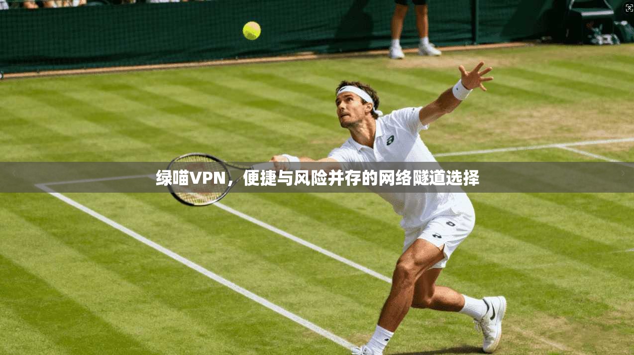 绿喵VPN,便捷与风险并存的网络隧道选择 绿喵VPN,便捷与风险并存的网络隧道选择