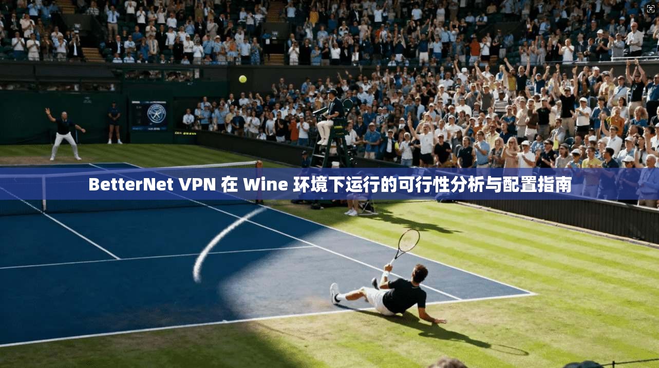 BetterNet VPN 在 Wine 环境下运行的可行性分析与配置指南 BetterNet VPN 在 Wine 环境下运行的可行性分析与配置指南