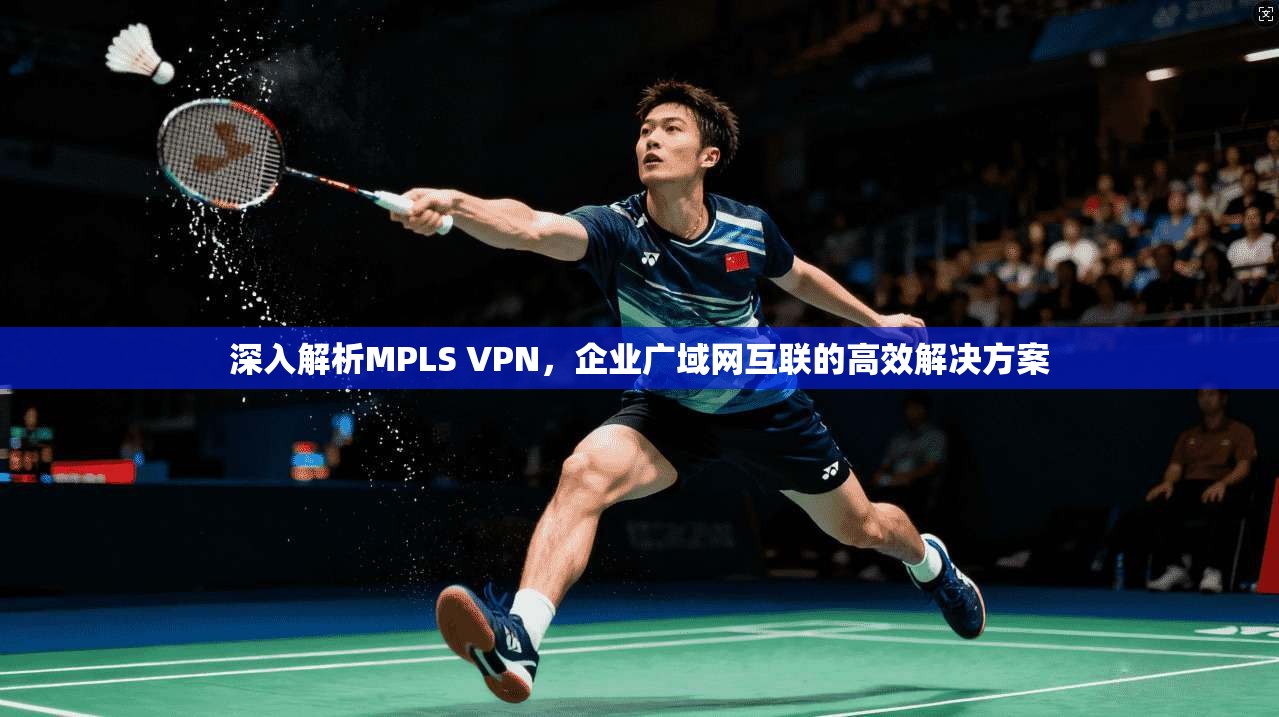 深入解析MPLS VPN,企业广域网互联的高效解决方案 深入解析MPLS VPN,企业广域网互联的高效解决方案