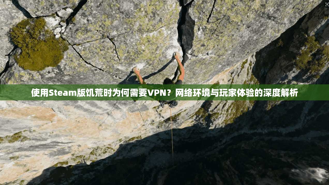 使用Steam版饥荒时为何需要VPN?网络环境与玩家体验的深度解析 使用Steam版饥荒时为何需要VPN?网络环境与玩家体验的深度解析