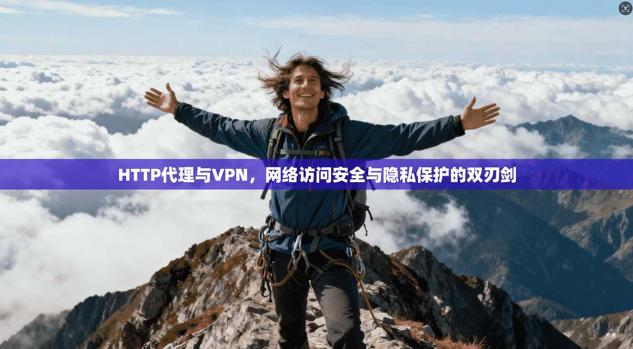 HTTP代理与VPN,网络访问安全与隐私保护的双刃剑 HTTP代理与VPN,网络访问安全与隐私保护的双刃剑
