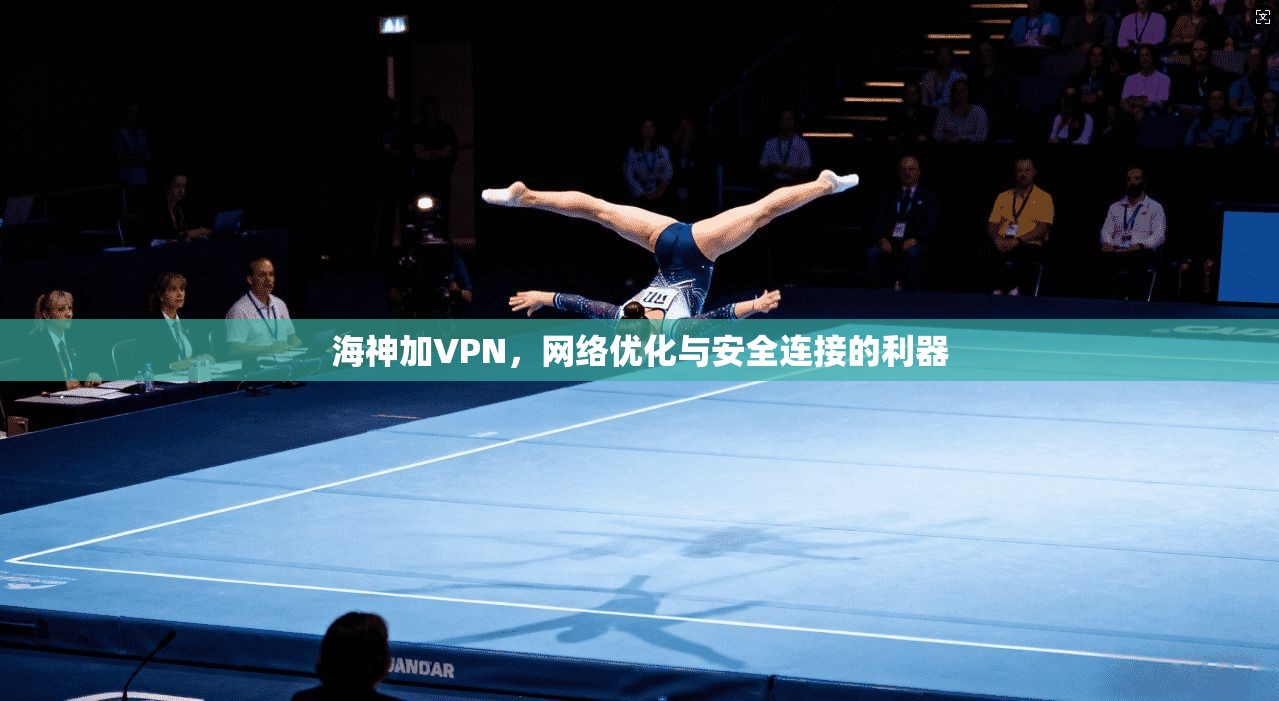 海神加VPN，网络优化与安全连接的利器