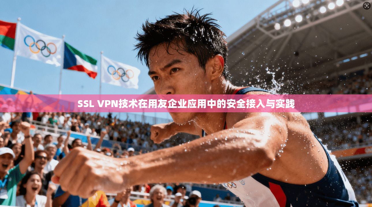 SSL VPN技术在用友企业应用中的安全接入与实践 SSL VPN技术在用友企业应用中的安全接入与实践