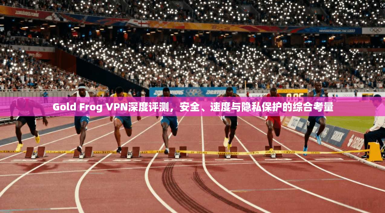 Gold Frog VPN深度评测,安全、速度与隐私保护的综合考量 Gold Frog VPN深度评测,安全、速度与隐私保护的综合考量