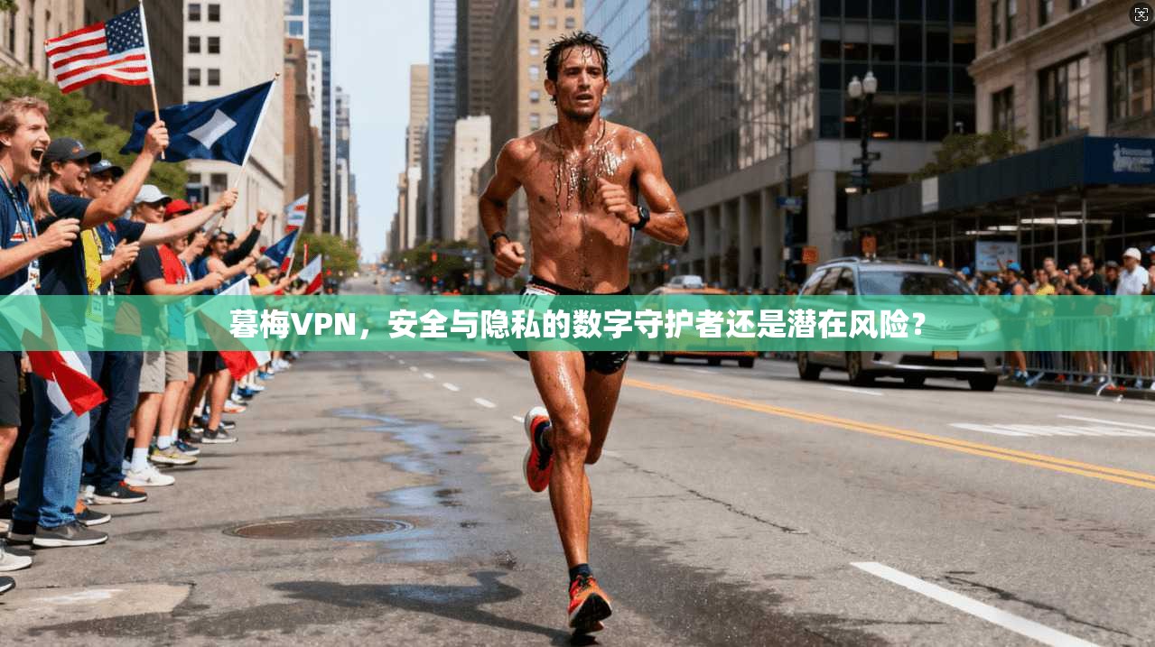 暮梅VPN,安全与隐私的数字守护者还是潜在风险? 暮梅VPN,安全与隐私的数字守护者还是潜在风险?