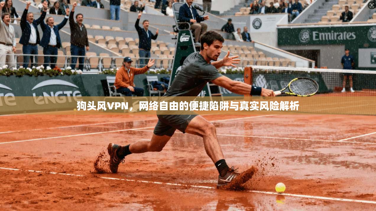 狗头风VPN,网络自由的便捷陷阱与真实风险解析 狗头风VPN,网络自由的便捷陷阱与真实风险解析