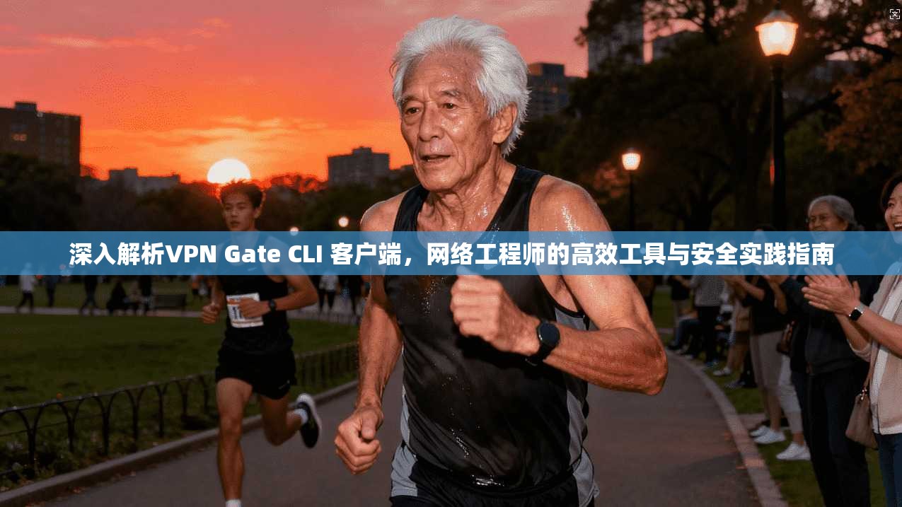深入解析VPN Gate CLI 客户端,网络工程师的高效工具与安全实践指南 深入解析VPN Gate CLI 客户端,网络工程师的高效工具与安全实践指南
