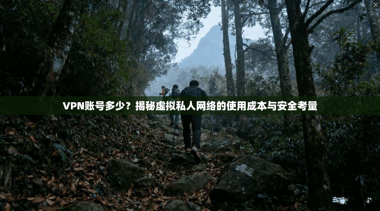 VPN账号多少?揭秘虚拟私人网络的使用成本与安全考量 VPN账号多少?揭秘虚拟私人网络的使用成本与安全考量
