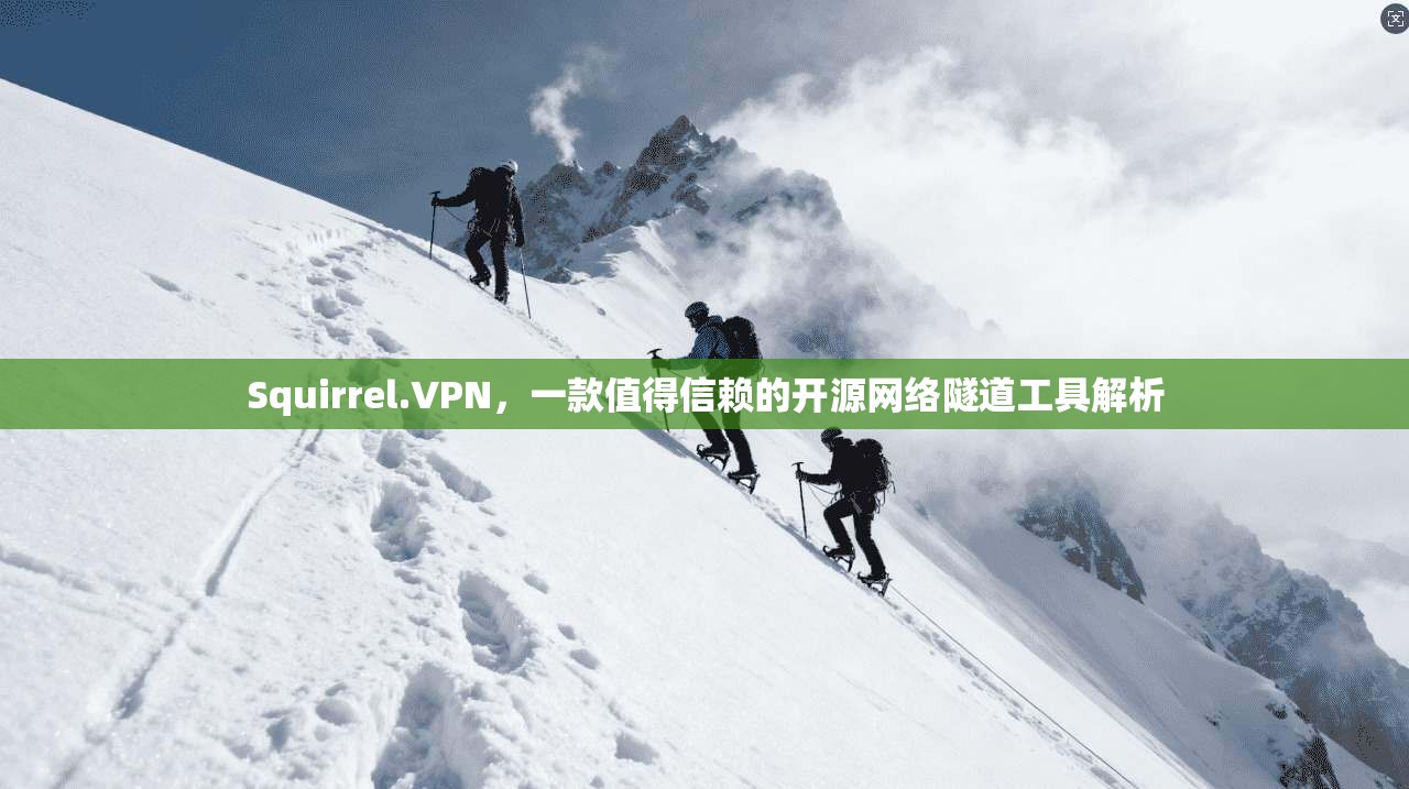Squirrel.VPN，一款值得信赖的开源网络隧道工具解析