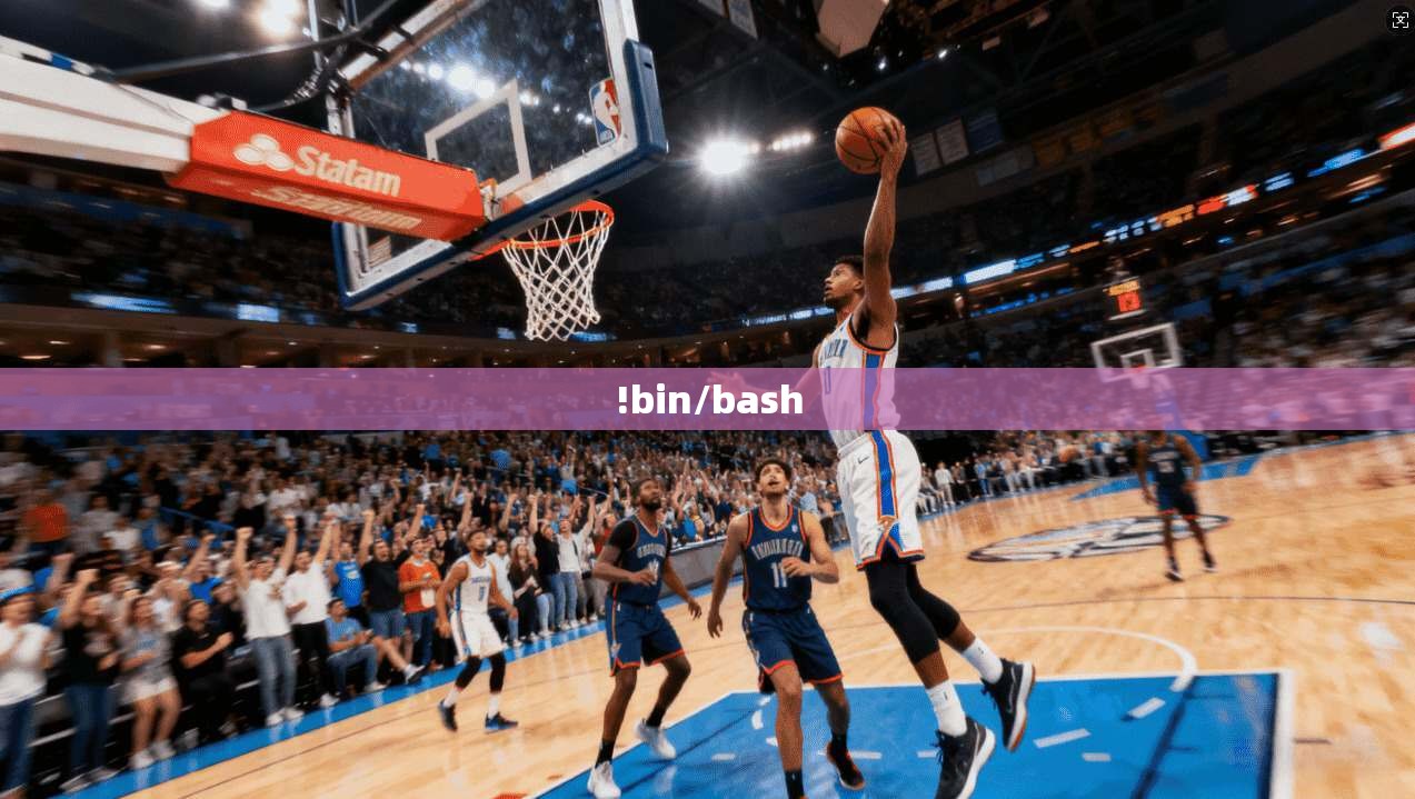 !bin/bash !bin/bash