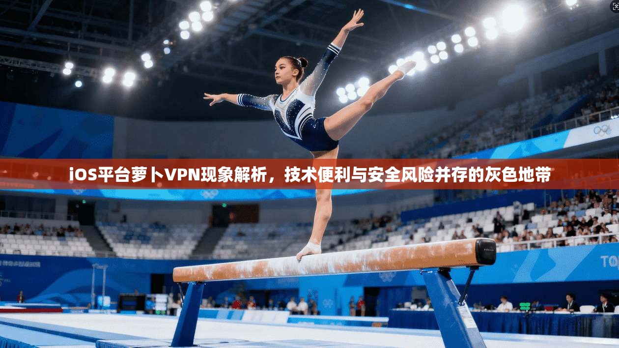 iOS平台萝卜VPN现象解析,技术便利与安全风险并存的灰色地带 iOS平台萝卜VPN现象解析,技术便利与安全风险并存的灰色地带