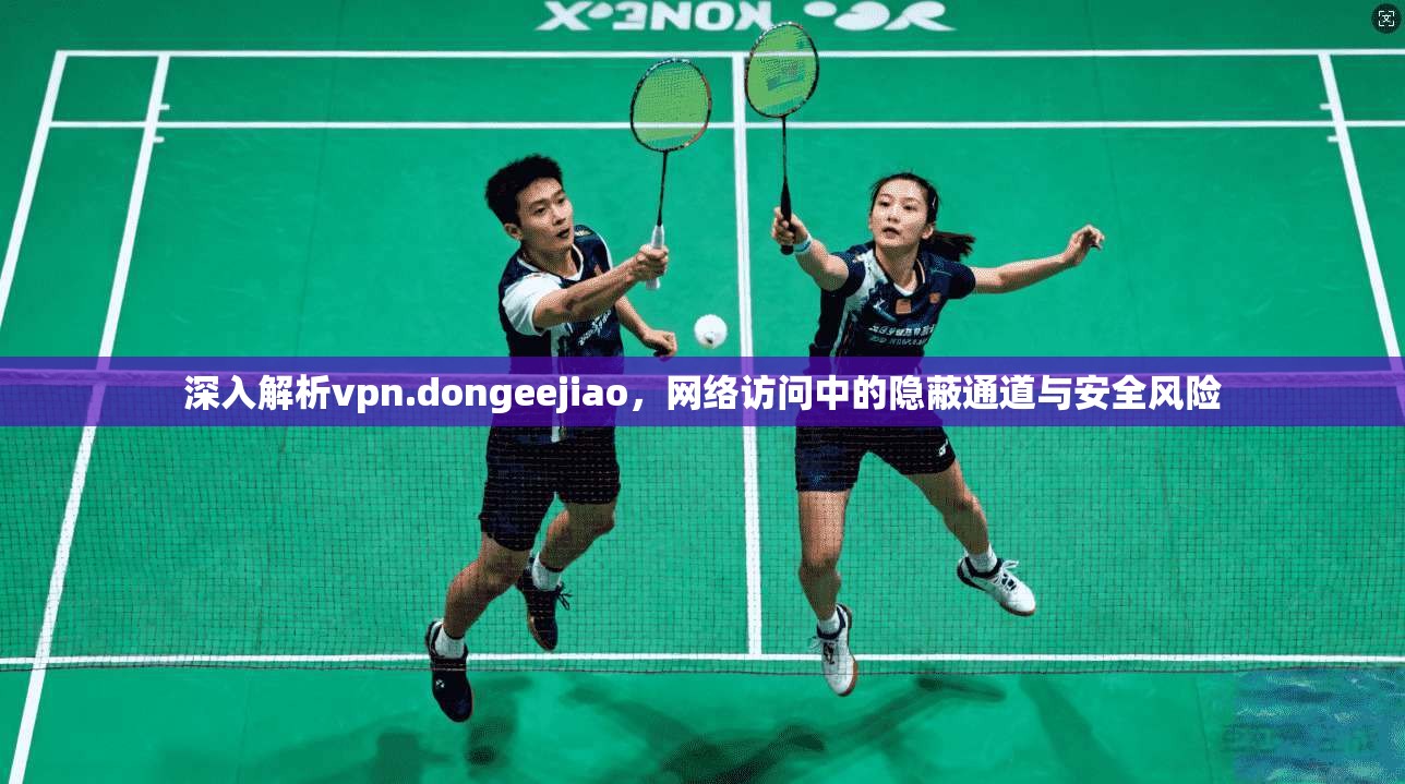 深入解析vpn.dongeejiao,网络访问中的隐蔽通道与安全风险 深入解析vpn.dongeejiao,网络访问中的隐蔽通道与安全风险