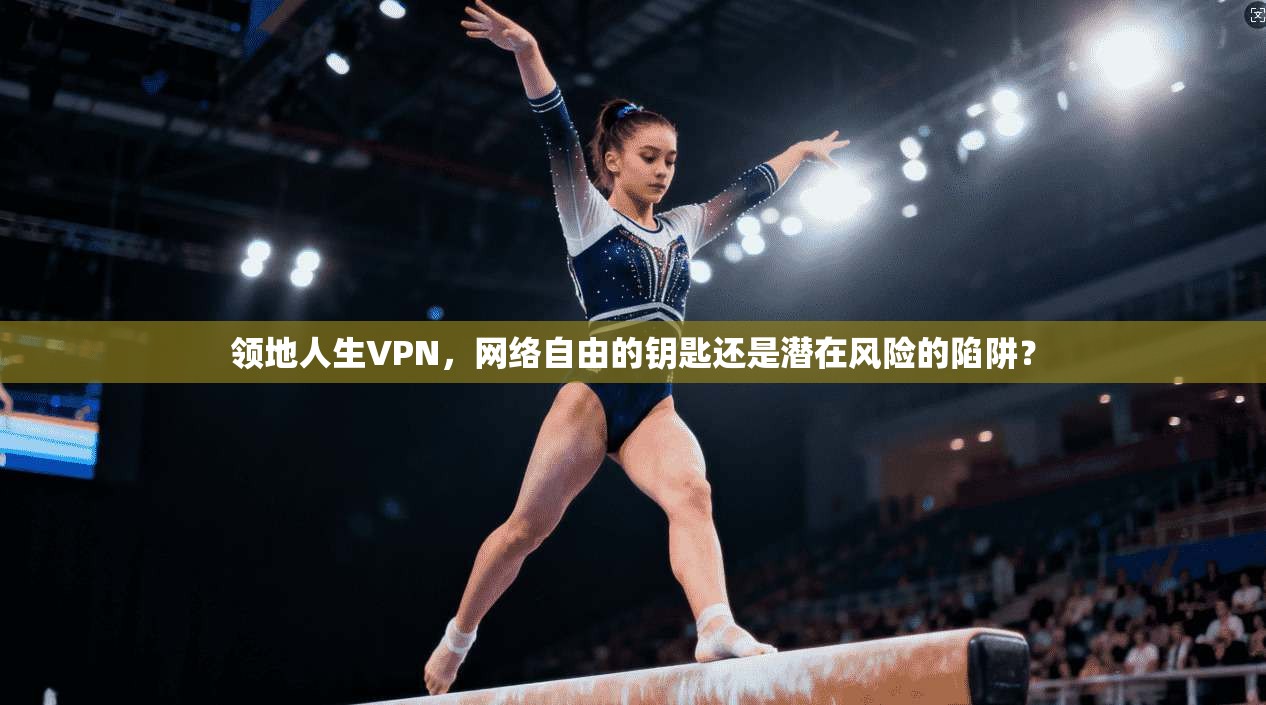 领地人生VPN,网络自由的钥匙还是潜在风险的陷阱? 领地人生VPN,网络自由的钥匙还是潜在风险的陷阱?