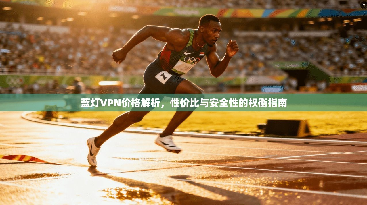 蓝灯VPN价格解析，性价比与安全性的权衡指南