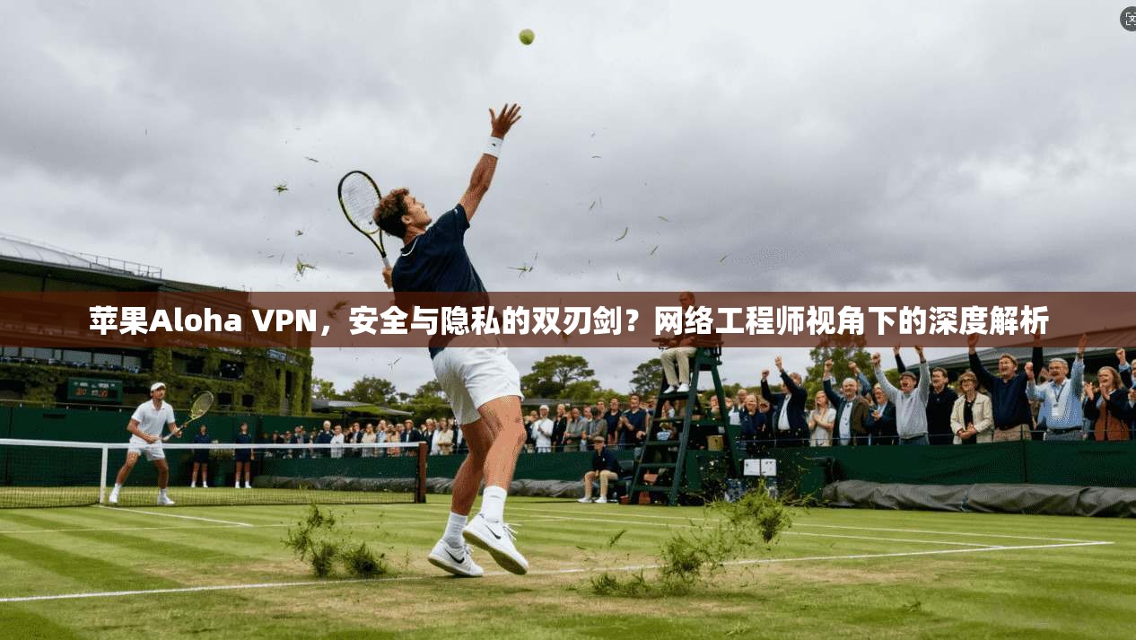 苹果Aloha VPN，安全与隐私的双刃剑？网络工程师视角下的深度解析