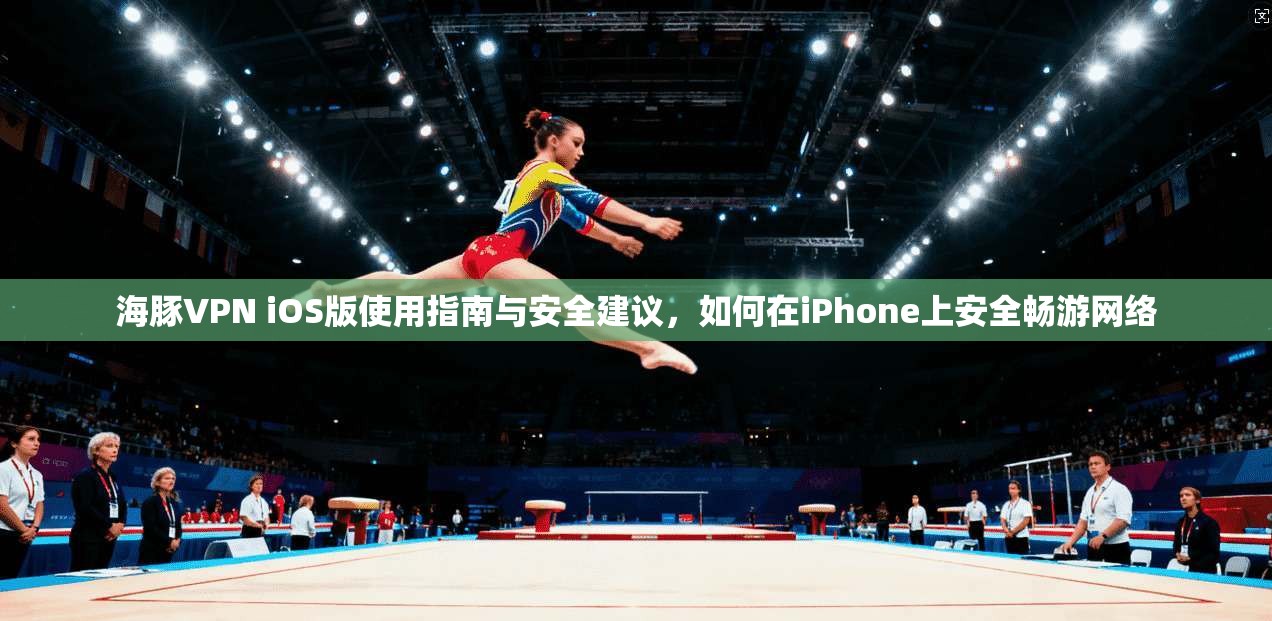 海豚VPN iOS版使用指南与安全建议,如何在iPhone上安全畅游网络 海豚VPN iOS版使用指南与安全建议,如何在iPhone上安全畅游网络