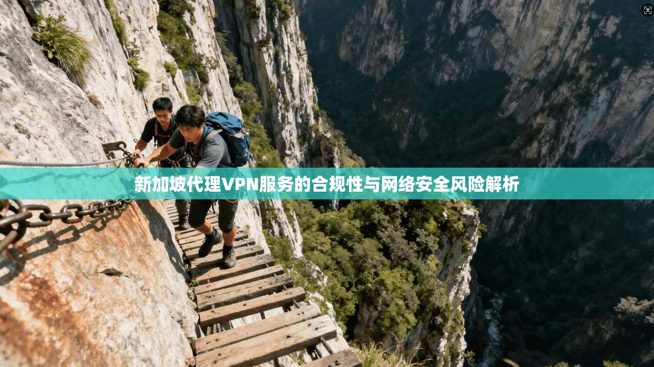 新加坡代理VPN服务的合规性与网络安全风险解析 新加坡代理VPN服务的合规性与网络安全风险解析