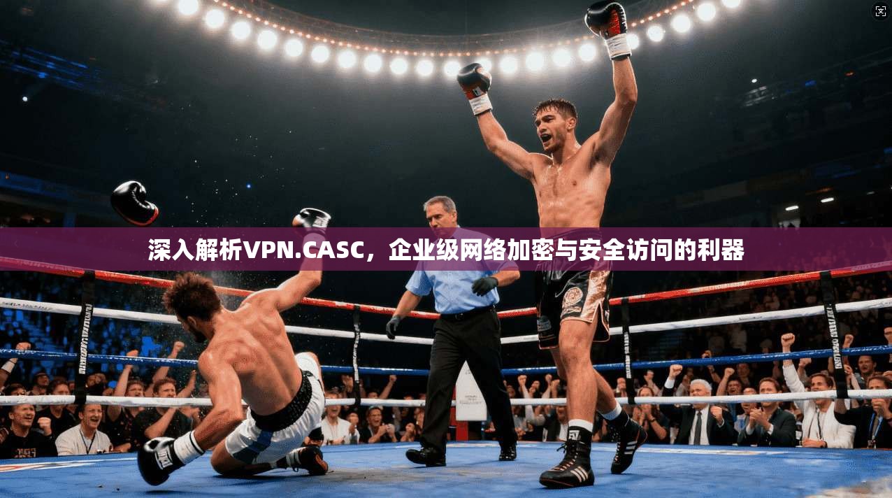 深入解析VPN.CASC,企业级网络加密与安全访问的利器 深入解析VPN.CASC,企业级网络加密与安全访问的利器