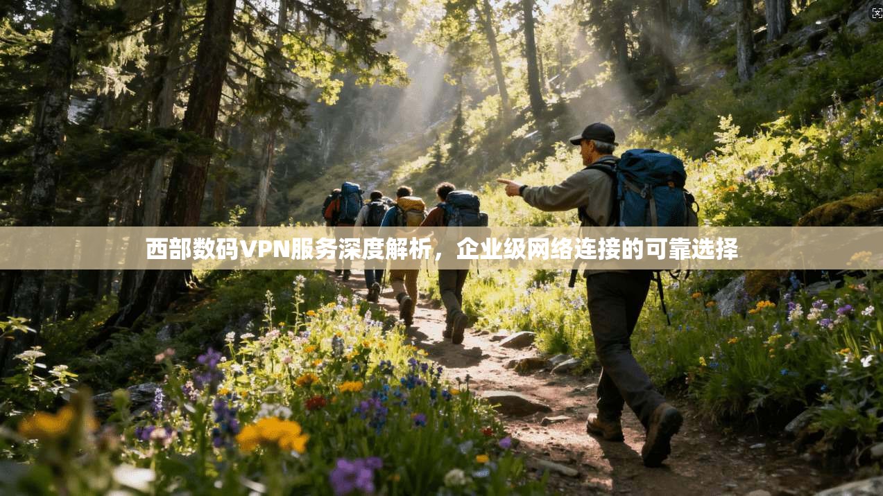 西部数码VPN服务深度解析，企业级网络连接的可靠选择